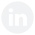 LinkedIn Salón Magno